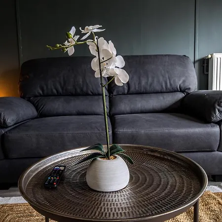 Rare, Fonctionnel, Ideal Famille Ou Business *