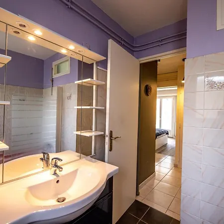 Rare, Fonctionnel, Ideal Famille Ou Business Pau