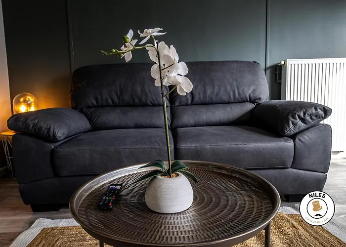 Rare, Fonctionnel, Ideal Famille Ou Business *