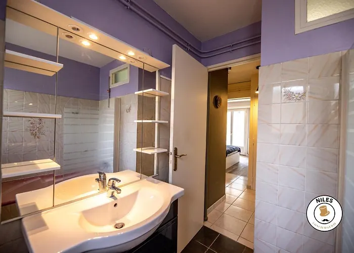 Rare, Fonctionnel, Ideal Famille Ou Business 포