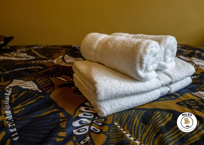 Rare, Fonctionnel, Ideal Famille Ou Business * 포